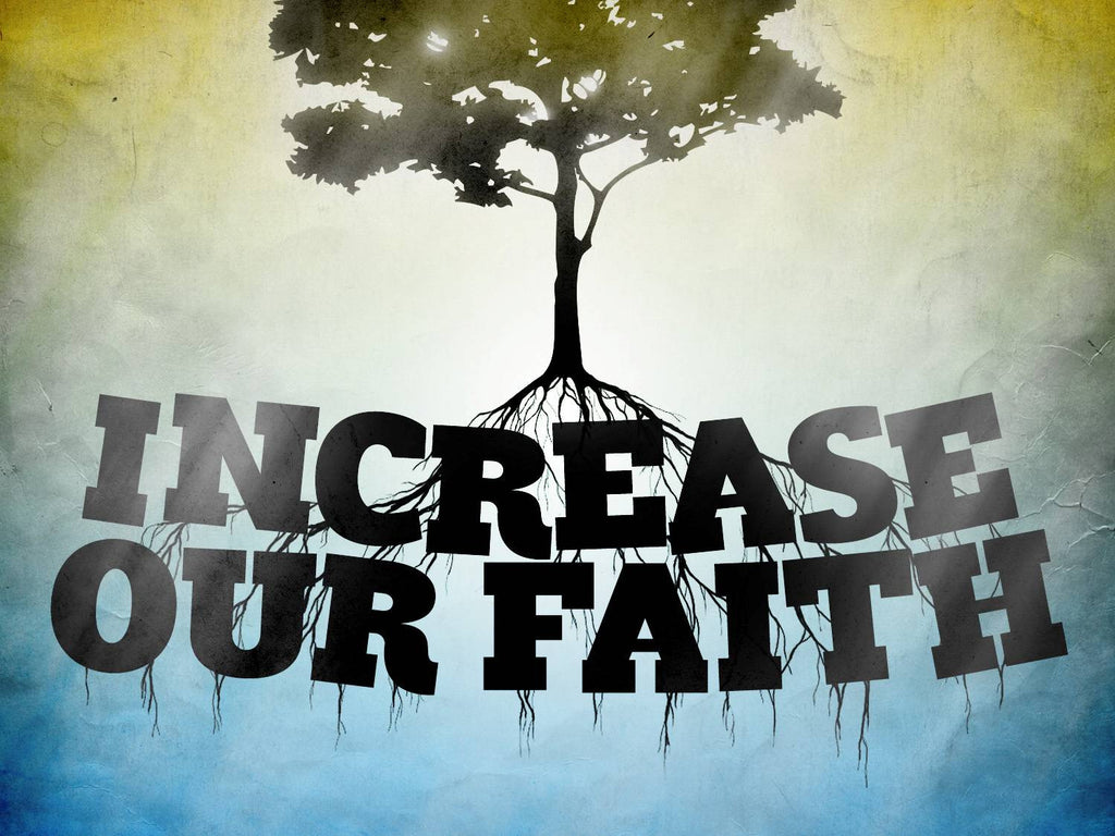 Devotional: How to Increase Your Faith